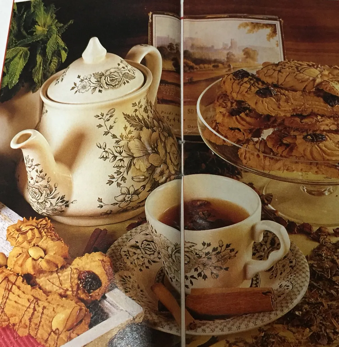 Biscoitos de chocolate 