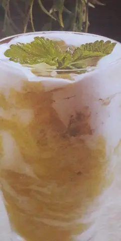 Mousse de Abacate