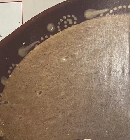 Sopa dourada